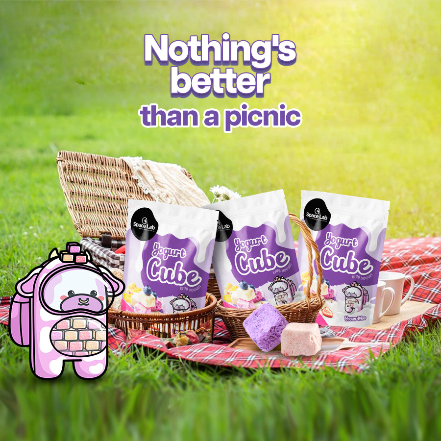 picnic snack