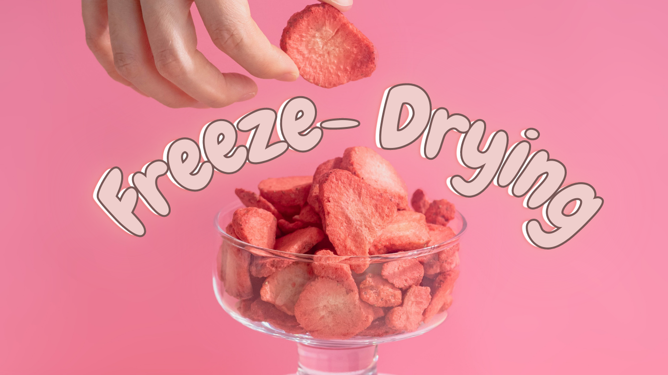 what is freeze drying