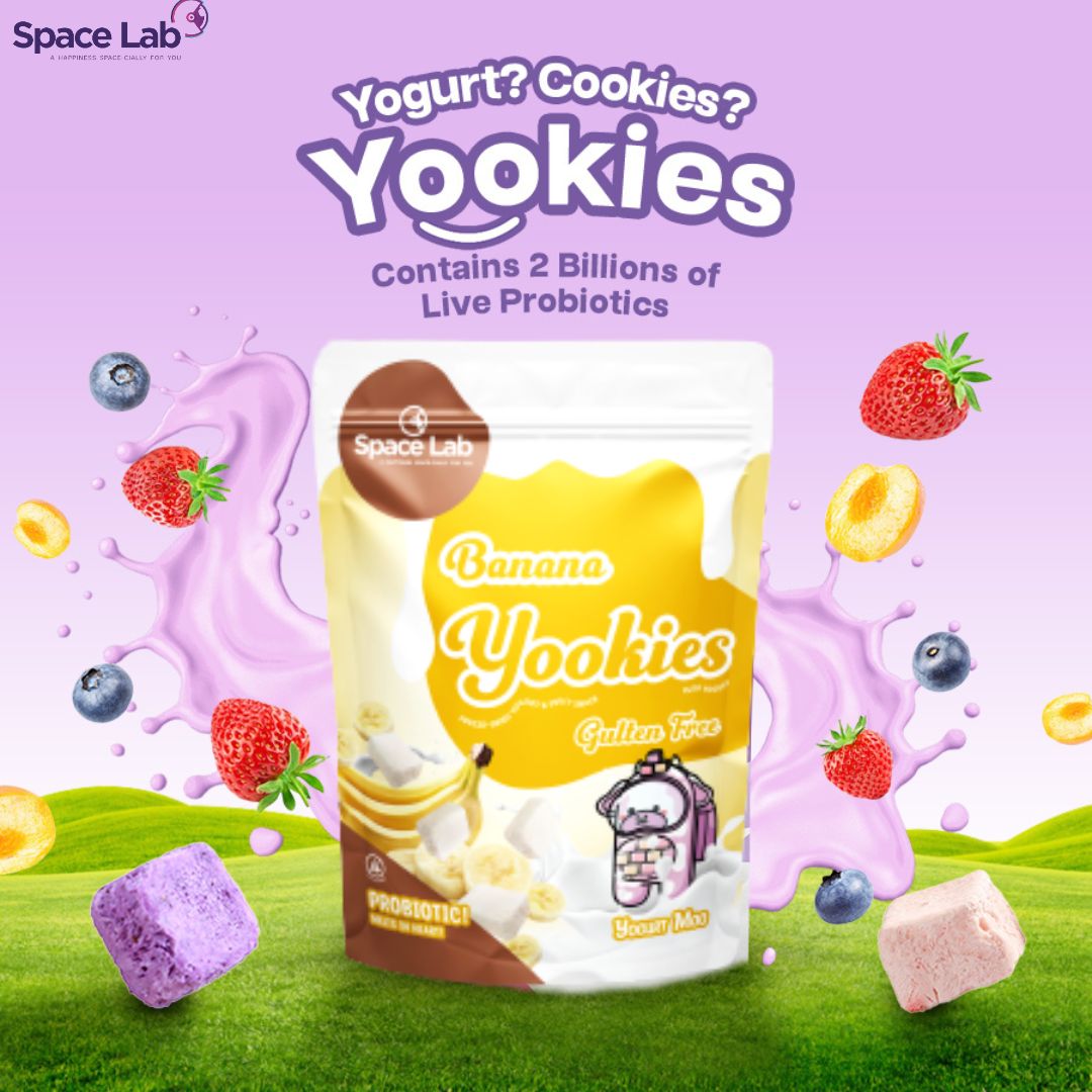 Space Lab Freeze Dried Yogurt Cookies 26g