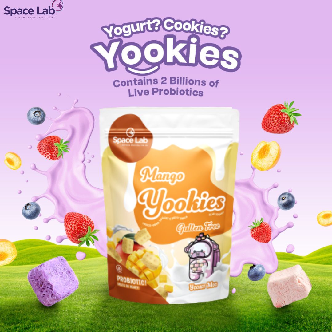 Space Lab Freeze Dried Yogurt Cookies 26g