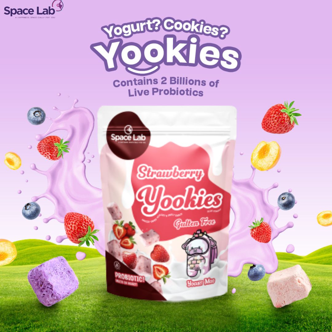 Space Lab Freeze Dried Yogurt Cookies 26g