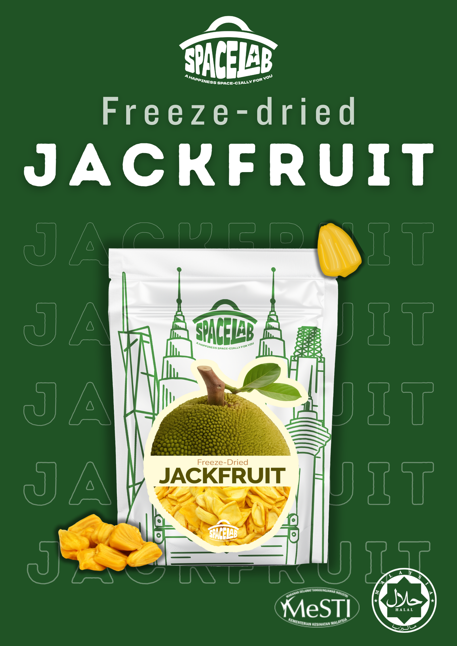 Space Lab Freeze Dried Fruits Series 20g